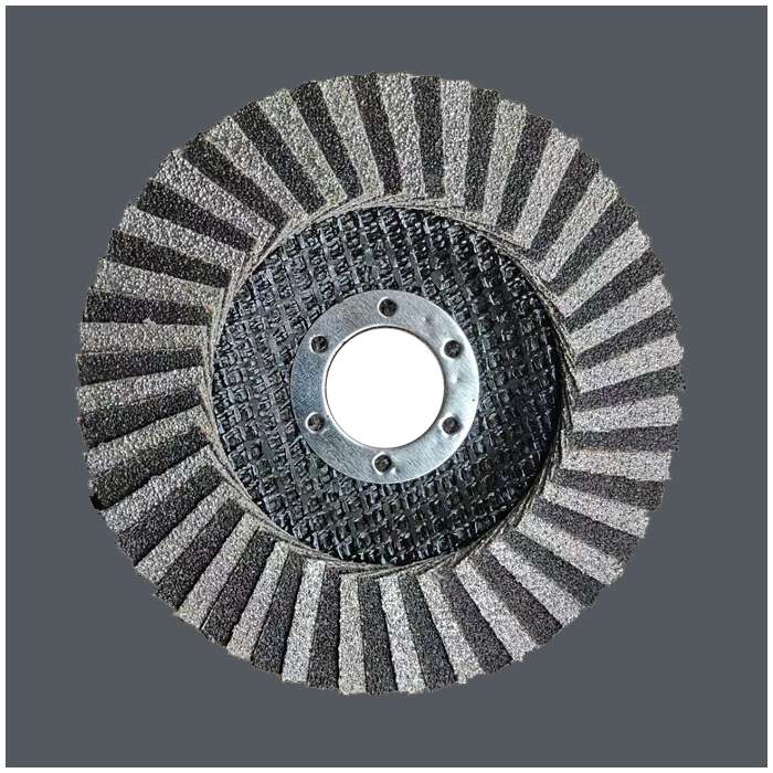 Diamond flap discs-1